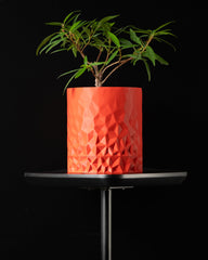 Ghiveci Decorativ Voronoi ArtVeris Inaltime 14cm