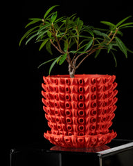 Ghiveci Decorativ Barnacle ArtVeris Inaltime 12cm