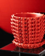 Ghiveci Decorativ Barnacle ArtVeris Inaltime 12cm