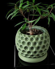 Ghiveci Decorativ Starry ArtVeris Inaltime 12cm