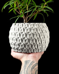 Ghiveci Decorativ Hexa ArtVeris Inaltime 13cm Wanty