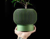 Ghiveci Decorativ Yuso ArtVeris Inaltime 12cm Wanty