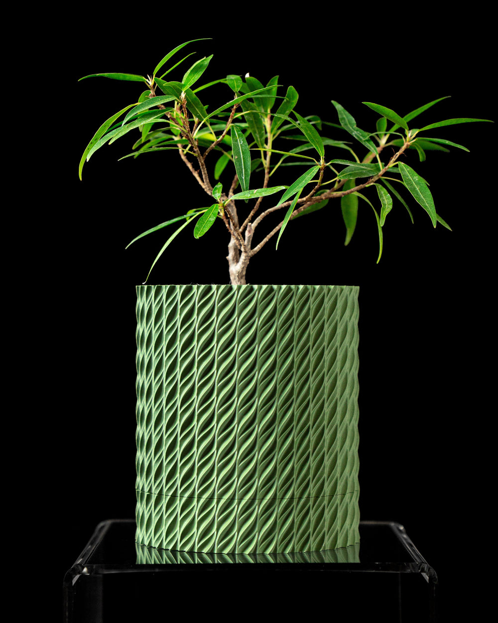 Ghiveci Decorativ Flow ArtVeris Inaltime 12cm Wanty