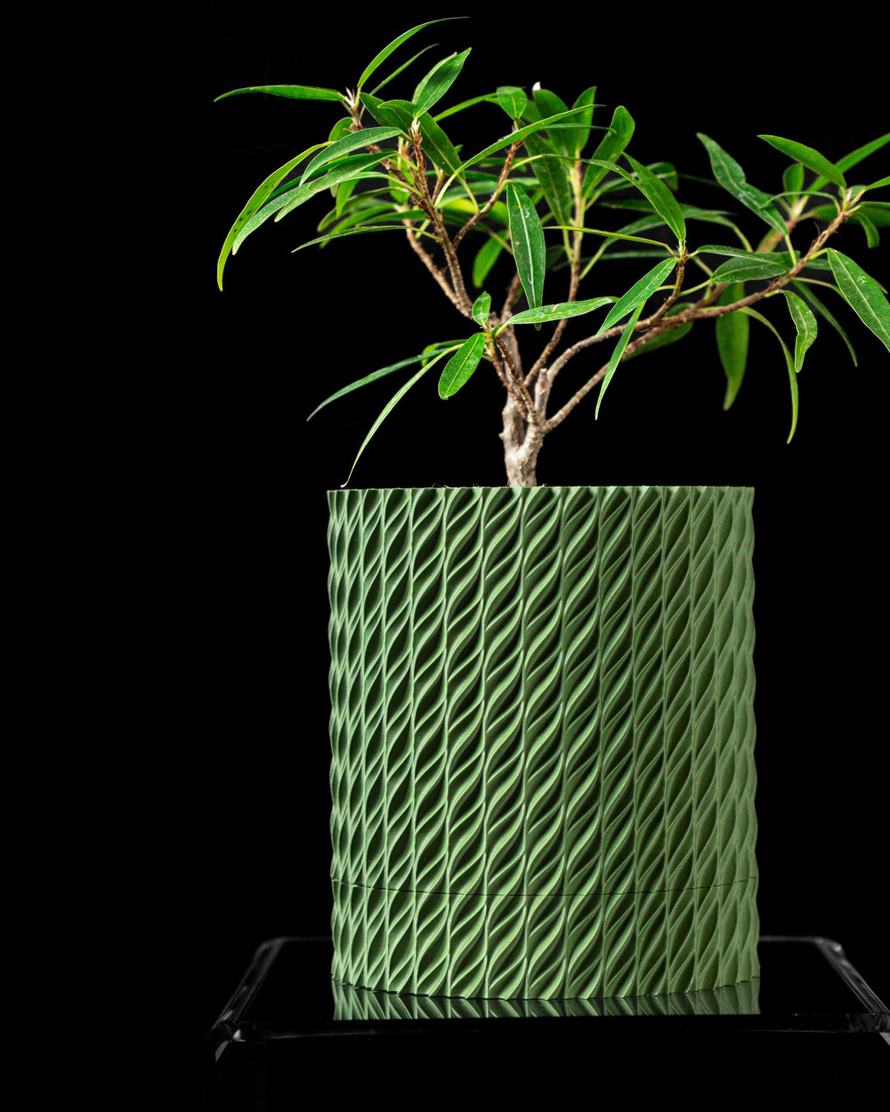 Ghiveci Decorativ Flow ArtVeris Inaltime 12cm Wanty