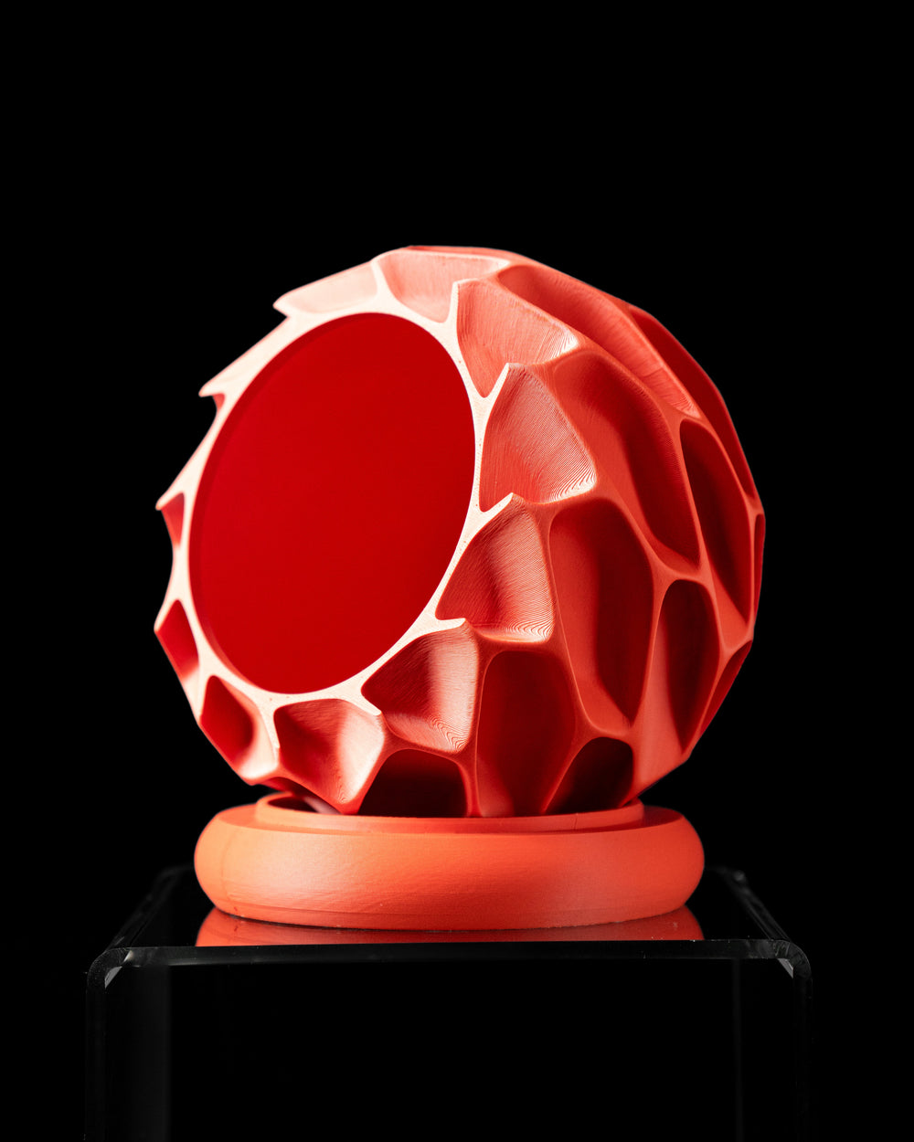 Ghiveci Decorativ Exo ArtVeris Inaltime 12cm Wanty