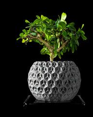 Ghiveci Decorativ Trihex ArtVeris Inaltime 12cm Wanty