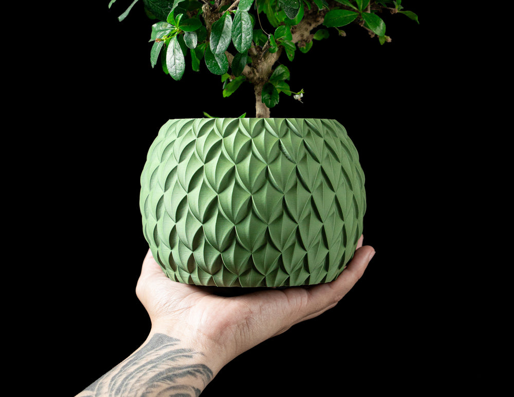 Ghiveci Decorativ Scale ArtVeris Inaltime 12cm Wanty