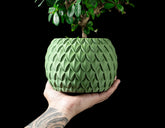 Ghiveci Decorativ Scale ArtVeris Inaltime 12cm Wanty