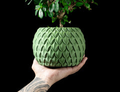 Ghiveci Decorativ Scale ArtVeris Inaltime 12cm Wanty