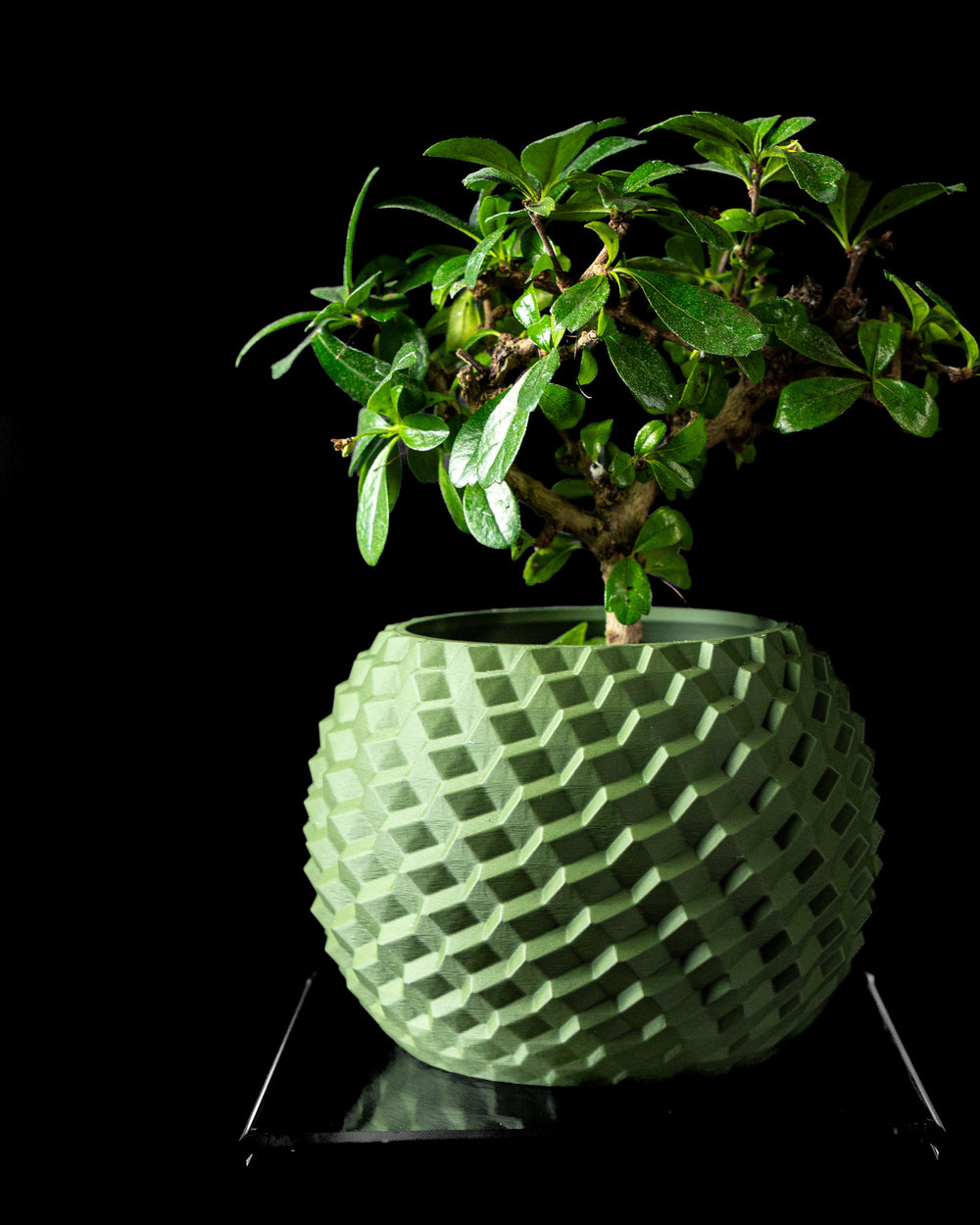 Ghiveci Decorativ Cobble ArtVeris Inaltime 12cm Verde Wanty