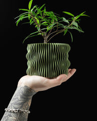 Ghiveci Decorativ Muxel ArtVeris Inaltime 12cm