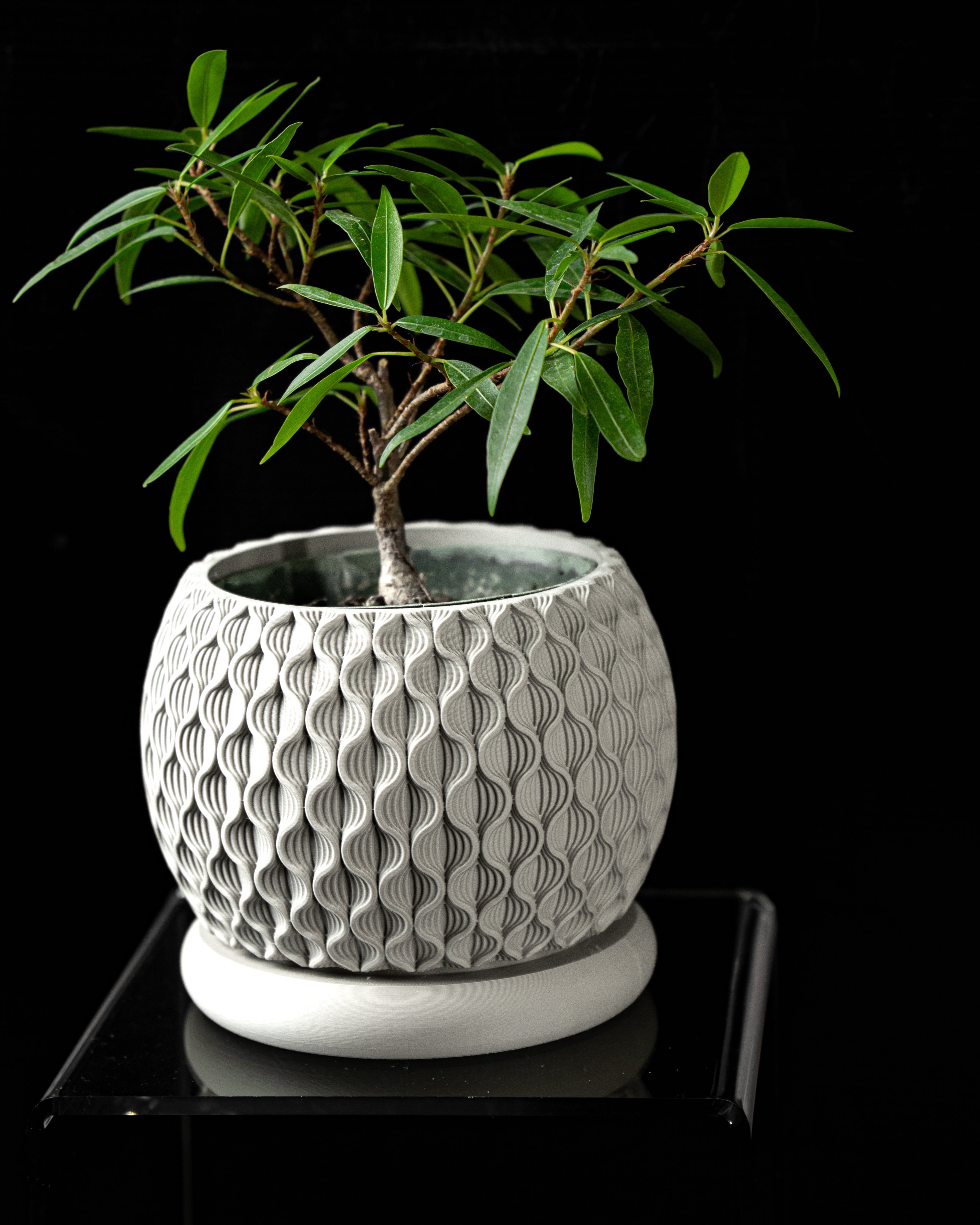 Ghiveci Decorativ Bloom ArtVeris Inaltime 12cm