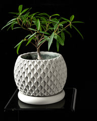 Ghiveci Decorativ Bloom ArtVeris Inaltime 12cm