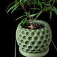 Ghiveci Decorativ Starry ArtVeris Inaltime 12cm
