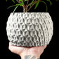 Ghiveci Decorativ Hexa ArtVeris Inaltime 13cm
