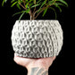 Ghiveci Decorativ Hexa ArtVeris Inaltime 13cm