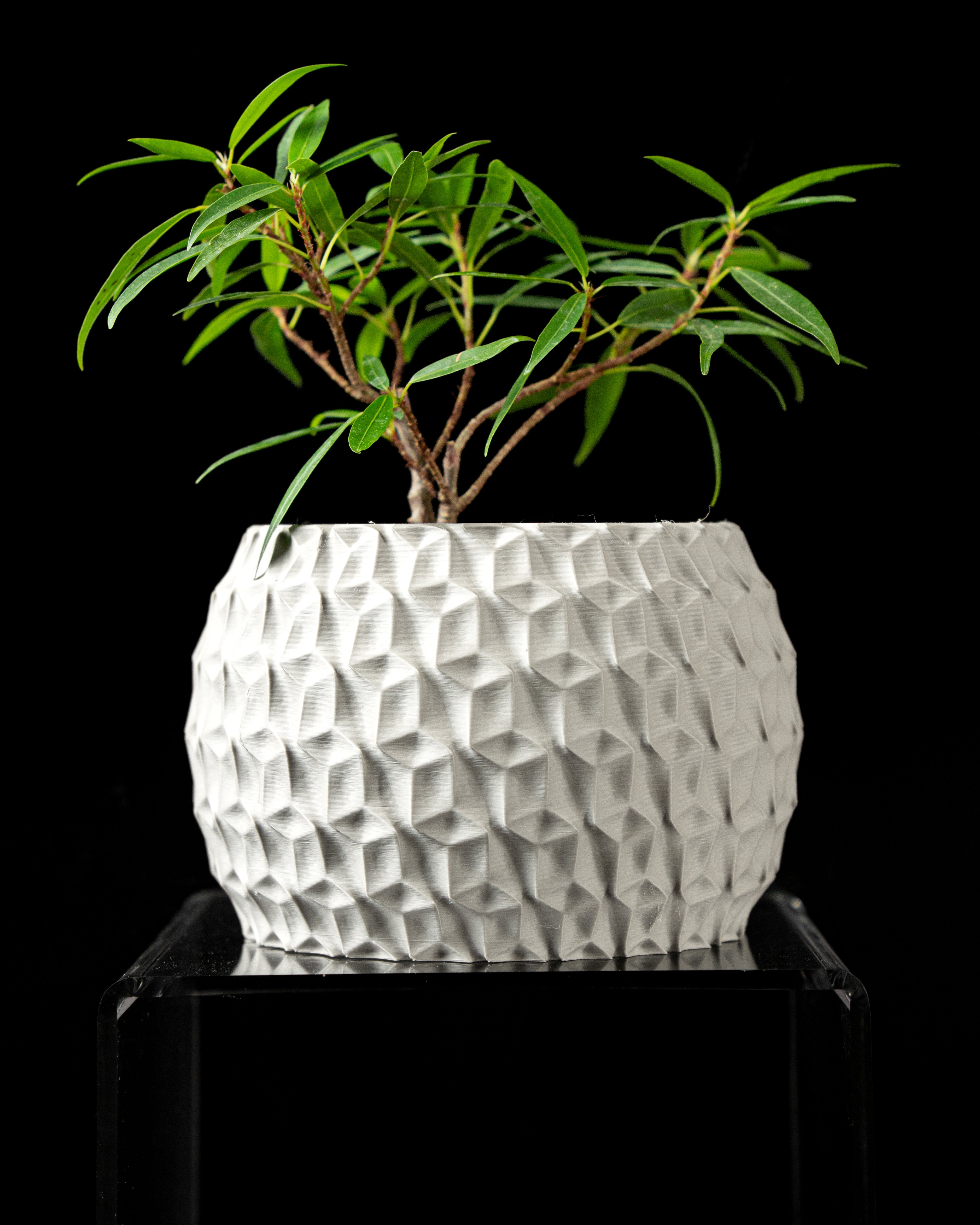 Ghiveci Decorativ Hexa ArtVeris Inaltime 13cm Wanty