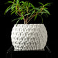 Ghiveci Decorativ Hexa ArtVeris Inaltime 13cm