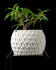 Ghiveci Decorativ Hexa ArtVeris Inaltime 13cm Wanty