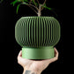 Ghiveci Decorativ Yuso ArtVeris Inaltime 12cm