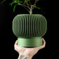 Ghiveci Decorativ Yuso ArtVeris Inaltime 12cm