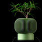Ghiveci Decorativ Yuso ArtVeris Inaltime 12cm