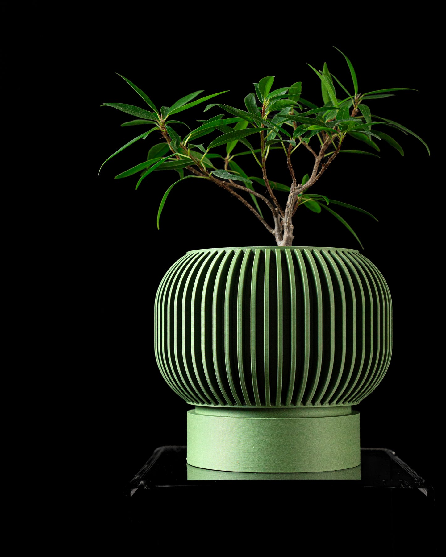 Ghiveci Decorativ Yuso ArtVeris Inaltime 12cm