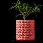 Ghiveci Decorativ Rugged ArtVeris Inaltime 12cm