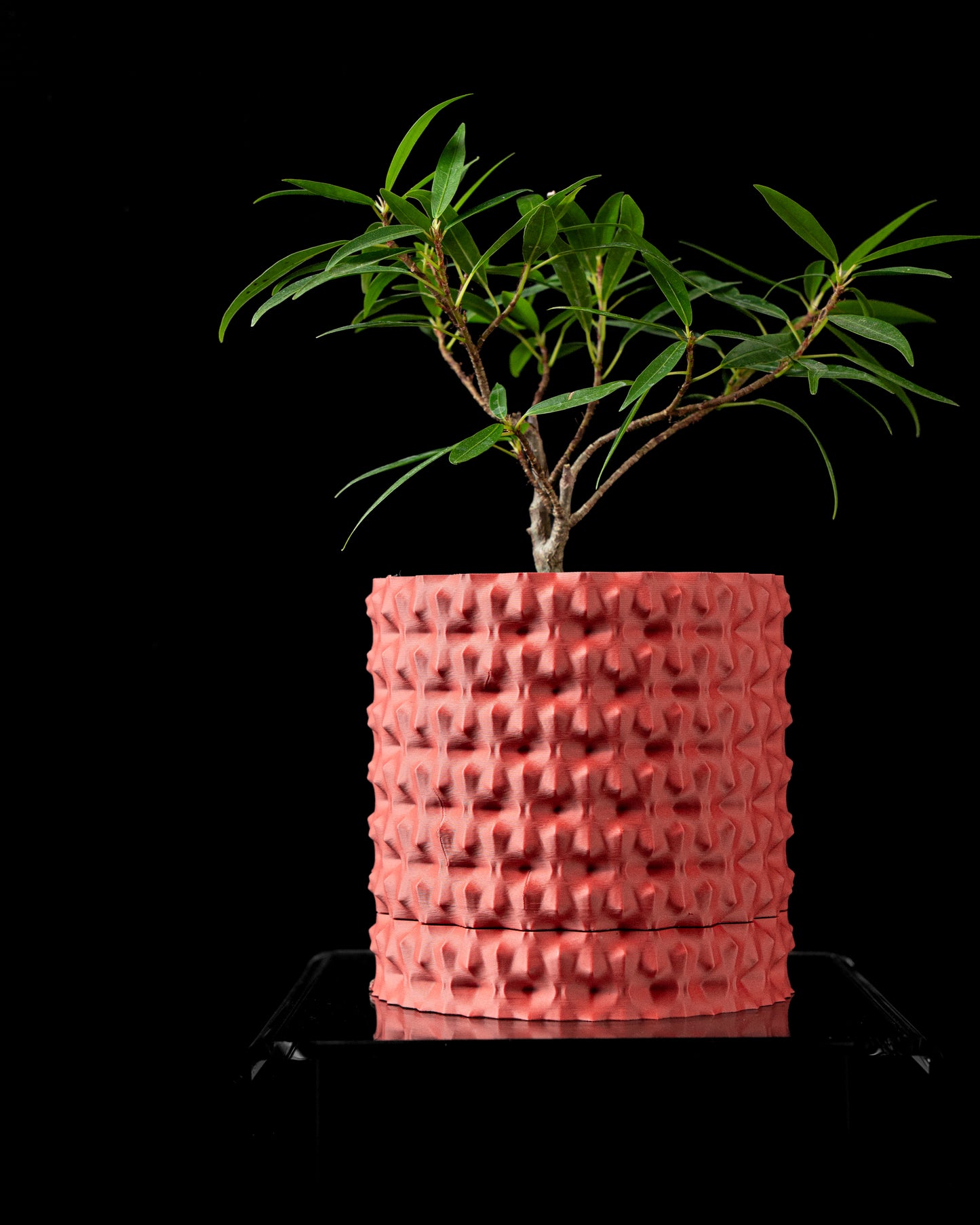 Ghiveci Decorativ Rugged ArtVeris Inaltime 12cm