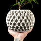 Ghiveci Decorativ Hexa 2 ArtVeris Inaltime 12cm