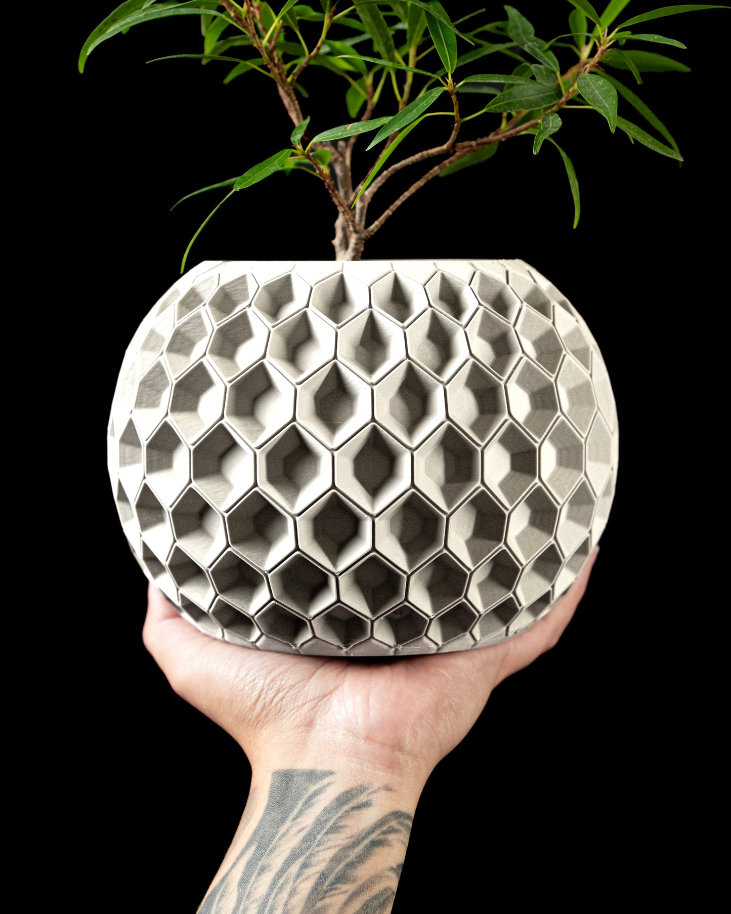 Ghiveci Decorativ Hexa 2 ArtVeris Inaltime 12cm