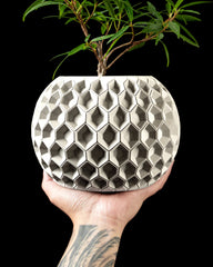 Ghiveci Decorativ Hexa 2 ArtVeris Inaltime 12cm Wanty