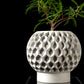Ghiveci Decorativ Hexa 2 ArtVeris Inaltime 12cm