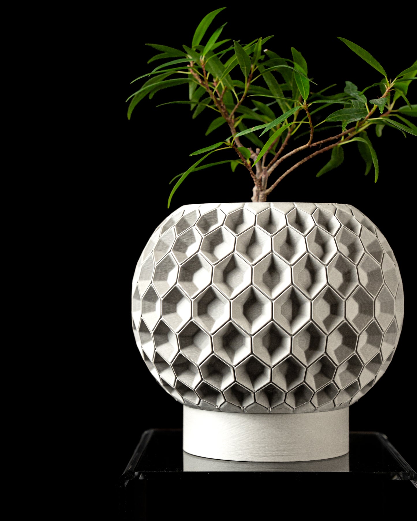 Ghiveci Decorativ Hexa 2 ArtVeris Inaltime 12cm