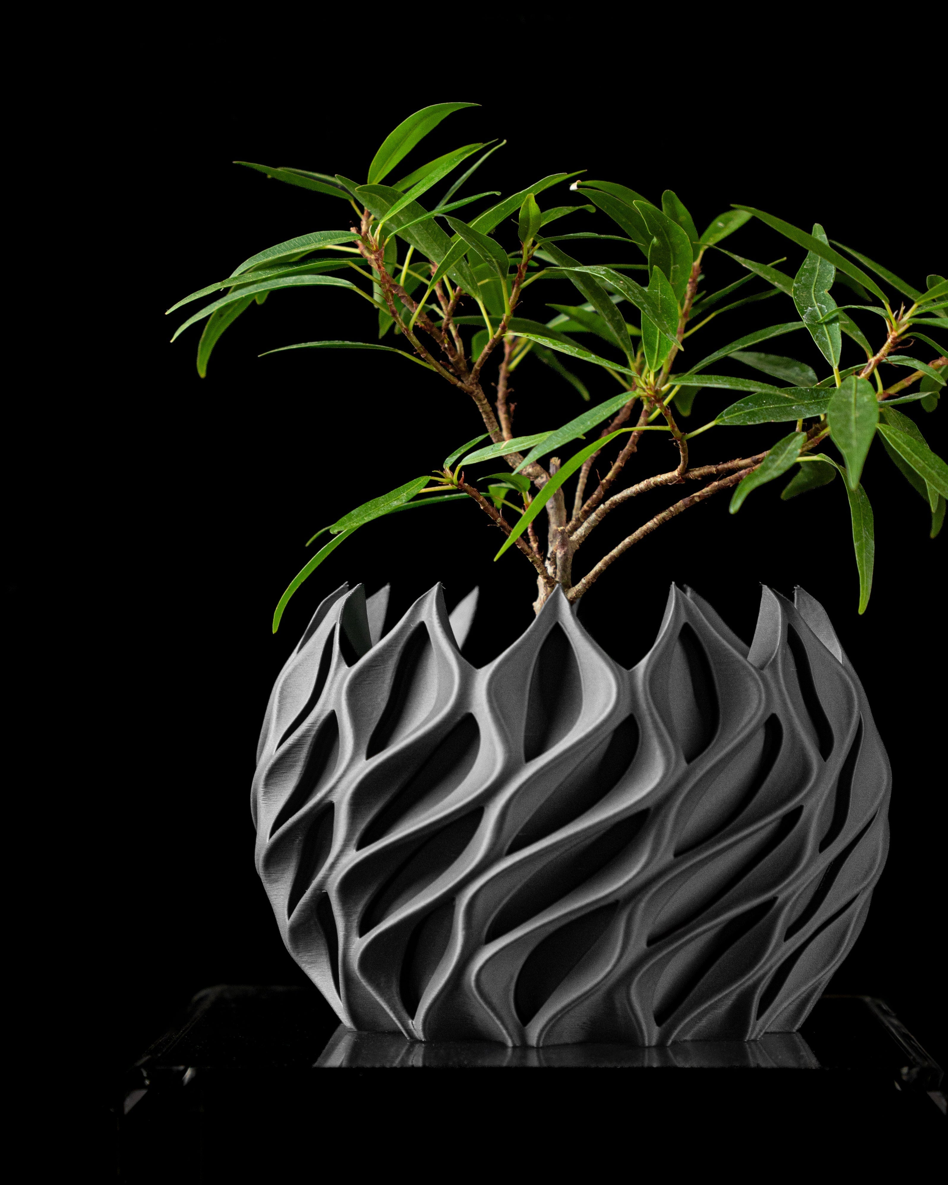 Ghiveci Decorativ Twisted ArtVeris Inaltime 11cm Wanty