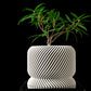 Ghiveci Decorativ Slant ArtVeris Inaltime 12cm