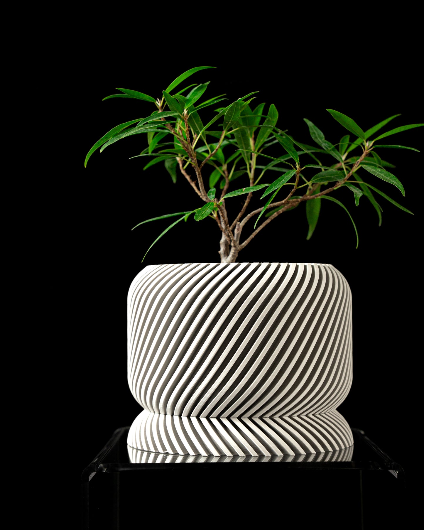 Ghiveci Decorativ Slant ArtVeris Inaltime 12cm