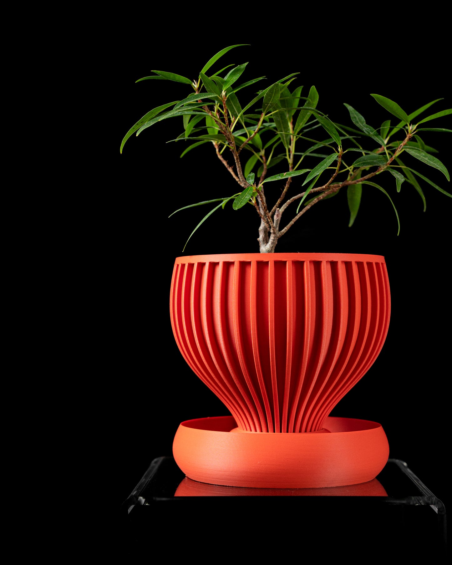 Ghiveci Decorativ Yin ArtVeris Inaltime 15cm