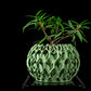 Ghiveci Decorativ Invader ArtVeris Inaltime 12cm