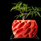 Ghiveci Decorativ Exo ArtVeris Inaltime 12cm