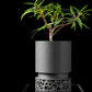 Ghiveci Decorativ Vori ArtVeris Inaltime 12cm