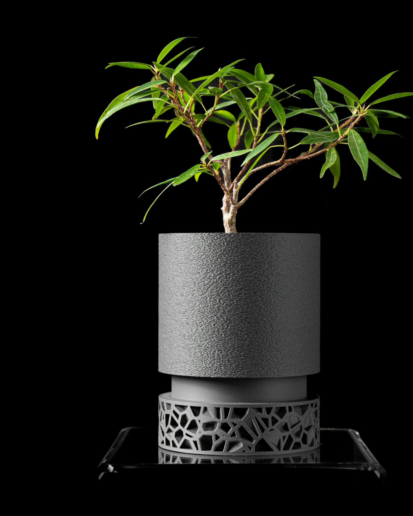 Ghiveci Decorativ Vori ArtVeris Inaltime 12cm
