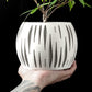 Ghiveci Decorativ Split ArtVeris Inaltime 12cm