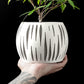 Ghiveci Decorativ Split ArtVeris Inaltime 12cm