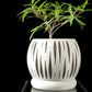 Ghiveci Decorativ Split ArtVeris Inaltime 12cm