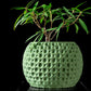 Ghiveci Decorativ Bubble ArtVeris Inaltime 12cm