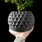Ghiveci Decorativ Trihex ArtVeris Inaltime 12cm