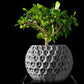 Ghiveci Decorativ Trihex ArtVeris Inaltime 12cm