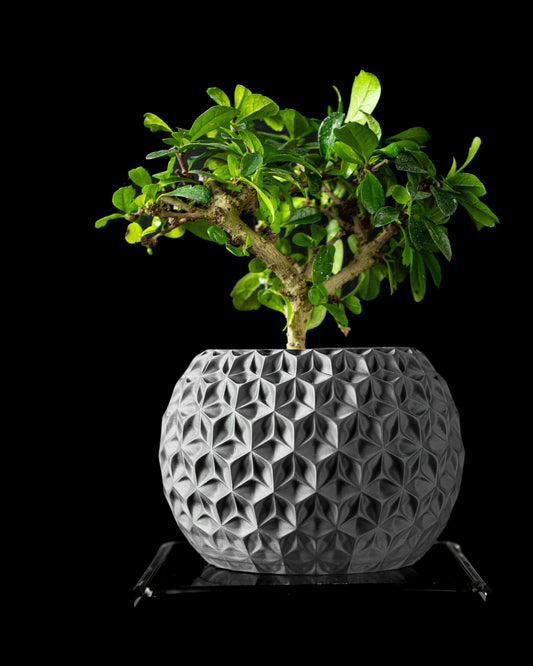 Ghiveci Decorativ Trihex ArtVeris Inaltime 12cm