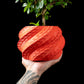 Ghiveci Decorativ Shell ArtVeris Inaltime 12cm